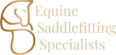 Equine SaddleFitting Specialist